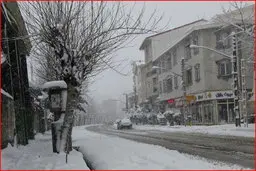 بارش برف در گیلان ۸۵ مصدوم بر جا گذاشت