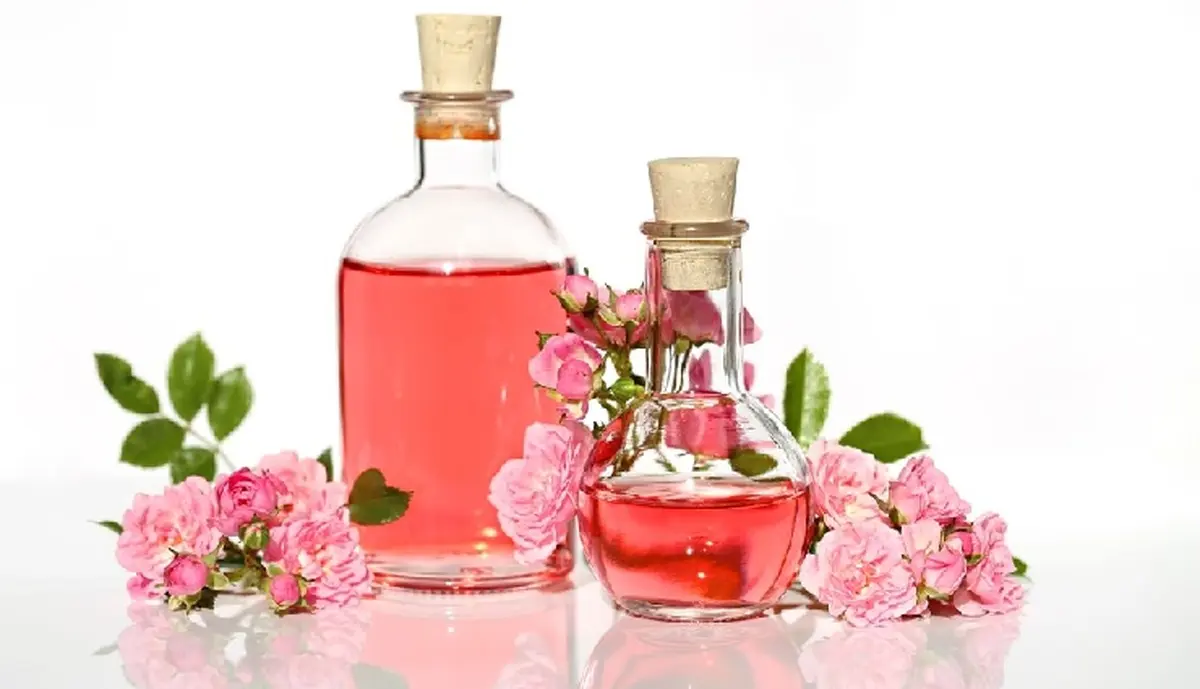 خواص گلاب برای پوست؛ نحوه مصرف و عوارض احتمالی