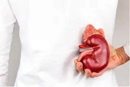 افراد مبتلا به این نوع از کلیه‌های سنگ ساز می‌توانند روزه بگیرند!