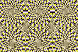 ویدئویی از یک خطای دید جالب