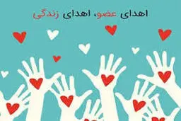 زمان طلایی در اهدای عضو پیوندی