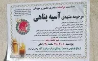 جزئیات مرگ "آسیه پناهی" در حمله شهرداری کرمانشاه