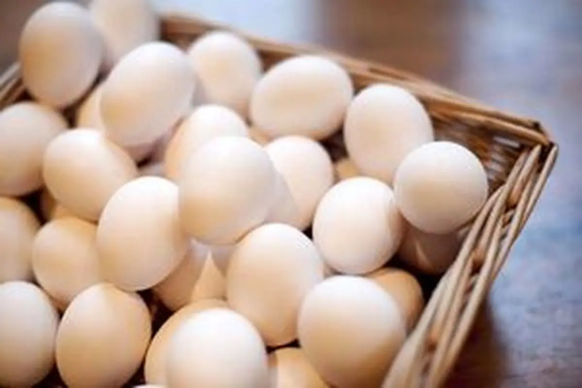 کاهش هزار و ۵۰۰ تومانی قیمت تخم‌مرغ