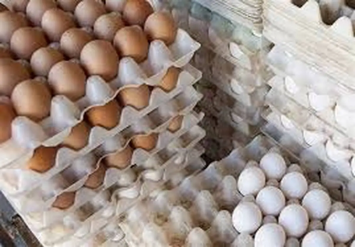 
مازاد تولید روزانه ۱۰ هزارتن تخم مرغ در کشور
