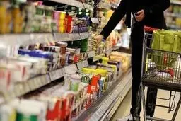 توزیع برنج، شکر، روغن، مرغ و گوشت قرمز با قیمت مصوب