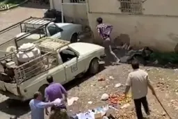 زن جوان دست به بیل شد | در شهرداری اتفاق افتاد | ماجرا چیست؟