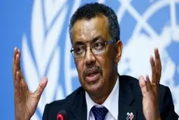 
سازمان جهانی بهداشت: مجموع مبتلایان به کرونا در جهان از ۳۰۰ میلیون نفر فراتر خواهد رفت
