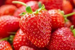 مواد غذایی موثر در جلوگیری از تشنگی برای روزه داران