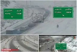 جاده چالوس سفید پوش شد