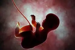 چین «جنین مصنوعی انسان» را به فضا فرستاد | آزمایش تولیدمثل در ایستگاه تیانگونگ