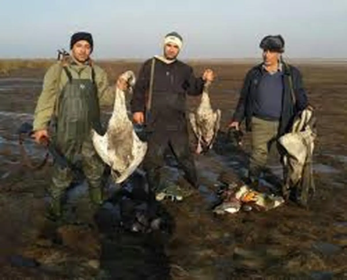 عاملان کشتار ۲۶ پرنده وحشی در گلستان بازداشت شدند