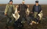 عاملان کشتار ۲۶ پرنده وحشی در گلستان بازداشت شدند