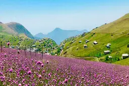 بهترین مکان گردشگری در تالش | تالش بهترین و بکرترین جا برای سفر در خرداد ماه