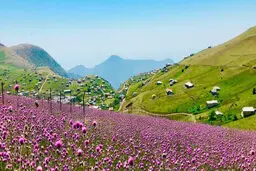 بهترین مکان گردشگری در تالش | تالش بهترین و بکرترین جا برای سفر در خرداد ماه