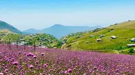 بهترین مکان گردشگری در تالش | تالش بهترین و بکرترین جا برای سفر در خرداد ماه