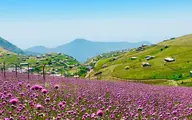 بهترین مکان گردشگری در تالش | تالش بهترین و بکرترین جا برای سفر در خرداد ماه