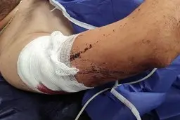 یک دانشجوی دیگر قربانی زورگیری شد؛ این بار در گلستان!