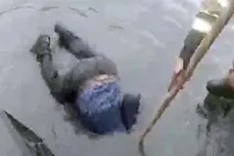 خواهشا ماسک تان را زمین نیندازید| عکسی که در فضای مجازی سر و صدا به پا کرد