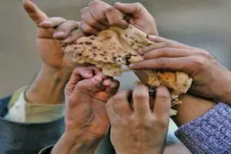 «قحطی نان» چقدر صحت دارد؟