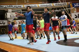 
اردو تیم‌های ملی کشتی فرنگی و آزاد تعطیل شد
