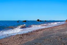 ساحل نقره‌ای هرمز زنده شد + ویدئو