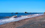 ساحل نقره‌ای هرمز زنده شد + ویدئو