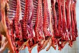 قیمت رسمی گوشت اعلام شد