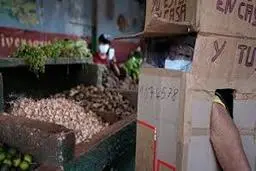 کرونا |  سپر عجیب و غریب یک زن برای این که کرونا نگیرد+عکس