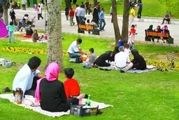 در روز طبیعت در جنگل‌ها و مراتع آتش روشن نکنید