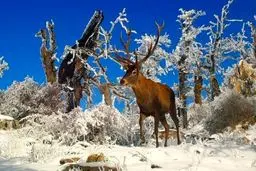 نقاشی دلفریب از شاهکارهای دیزنی +عکس