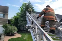 مارمولک غول‌پیکر توسط آتش‌نشان‌ها نجات پیدا کرد!