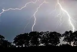 برخورد رعد و برق باعث پودر شدن یک درخت عظیم شد | لحظه پودر شدن درخت توسط صاعقه +ویدئو