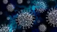 تشخیص ویروس کرونا در کمتر از ۵ دقیقه