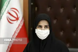 معاون حقوقی رئیس جمهور: منع جامعه از خشونت علیه زنان باید به صورت دستوری انجام شود