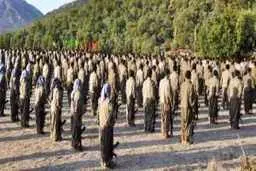 مصر و امارات برای حمایت از پ.ک.ک در عراق
