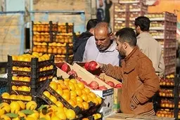 توزیع میوه شب عید ۲۵ درصد زیر قیمت بازار