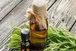 روغن خراطین برای صورت مفید است؟