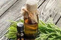 روغن خراطین برای صورت مفید است؟