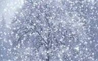 بارش برف شدید در جاده چالوس + فیلم
