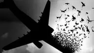  پرونده هواپیمایی اوکراینی به کجا رسید؟ | دادگاه باید علنی برگزار شود!