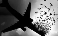اوکراین از پرداخت غرامت حادثه هواپیمای اوکراینی استقبال کرد