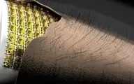 ابداع نوعی پوست الکترونیکی که مو دارد!
