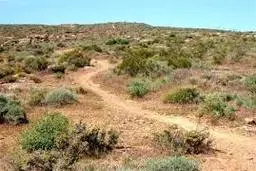 فرسایش خاک در ایران بیش از 6 برابر میانگین جهانی 