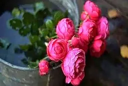 فال روزانه شخصی | 20 اردیبهشت ماه