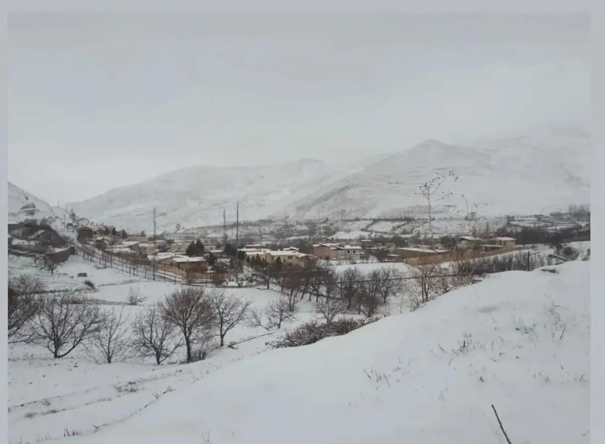 بارش برف برخی از مناطق مشگین‌شهر را سفیدپوش کرد 