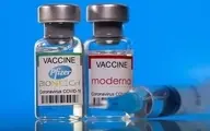 فرمول ساخت دو واکسن فایزر و مدرنا روی اینترنت قرار گرفت 