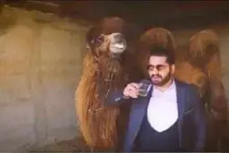 وزارت بهداشت در واکنش به انتشار کلیپ خوردن ادرار شتر برای درمان کرونا: این افراد ممکن است مشکلات شخصیتی و اجتماعی داشته باشند 