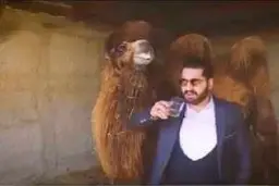 وزارت بهداشت در واکنش به انتشار کلیپ خوردن ادرار شتر برای درمان کرونا: این افراد ممکن است مشکلات شخصیتی و اجتماعی داشته باشند 