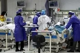 اصرار بی‌منطق مسئولان آموزشی بر بازگشایی مدارس و دانشگاه‌ها علت شروع پیک ششم است