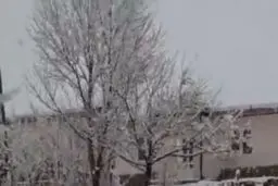 بارش برف شدید بهاری خوی را سپیدپوش کرد+ویدئو 